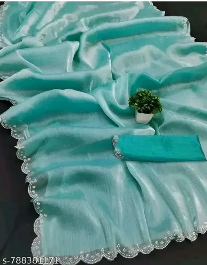 DEVCAREATION Embellished Bollywood Jimmy Jimmy Saree (Light Green) 3